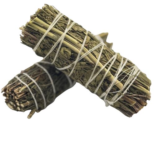 Comprar Atado Ruda 4" | Shop Cosmic Healing