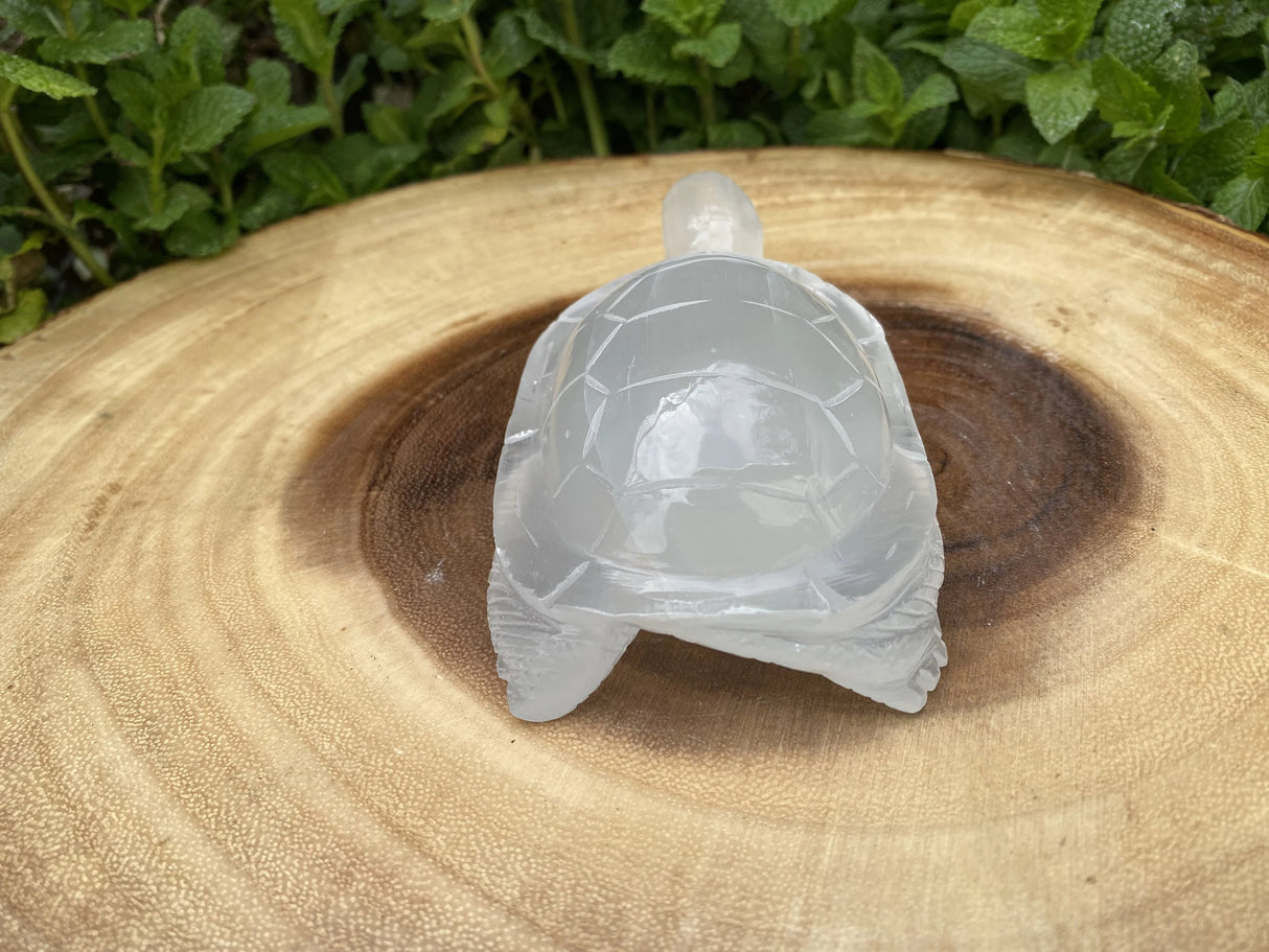 Large Selenite Hand Carved Turtle 4"