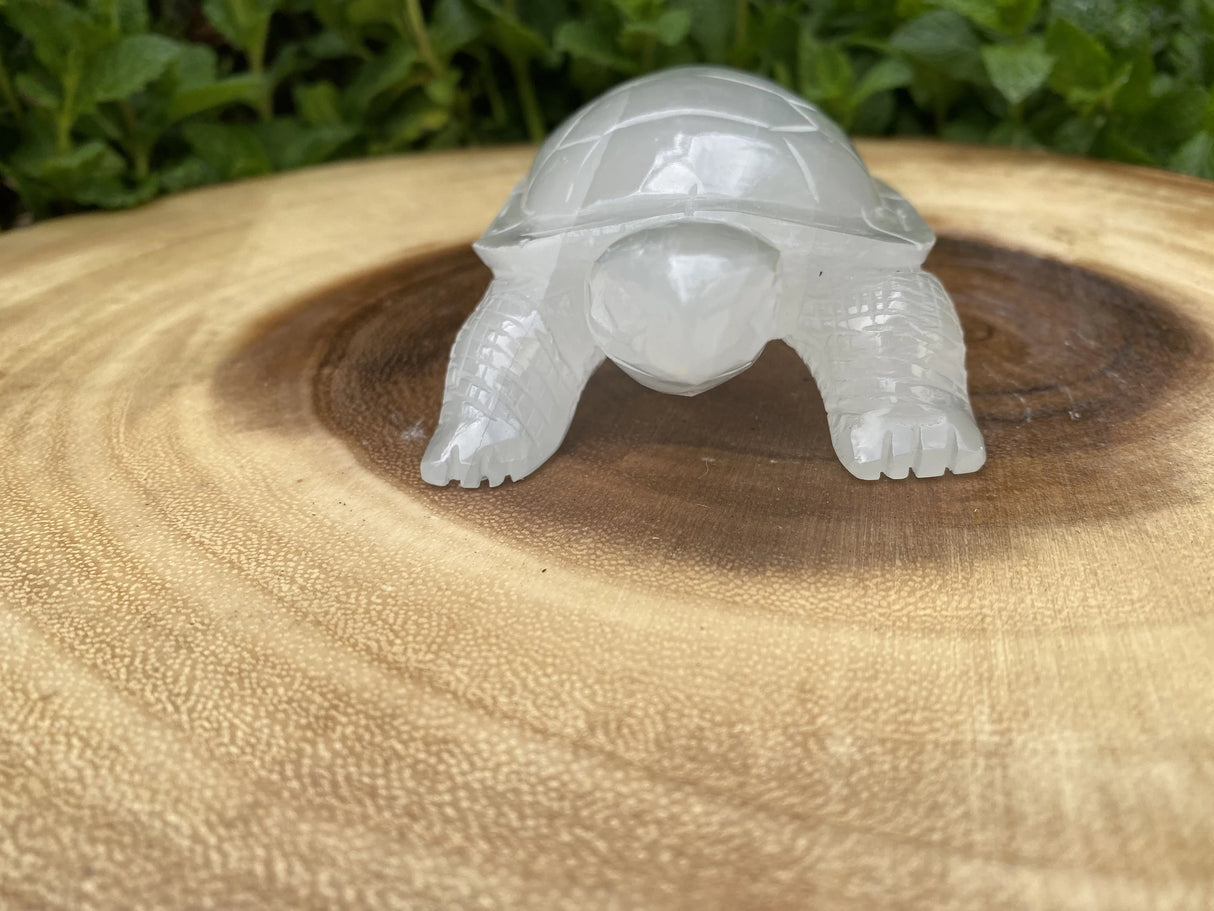 Large Selenite Hand Carved Turtle 4"