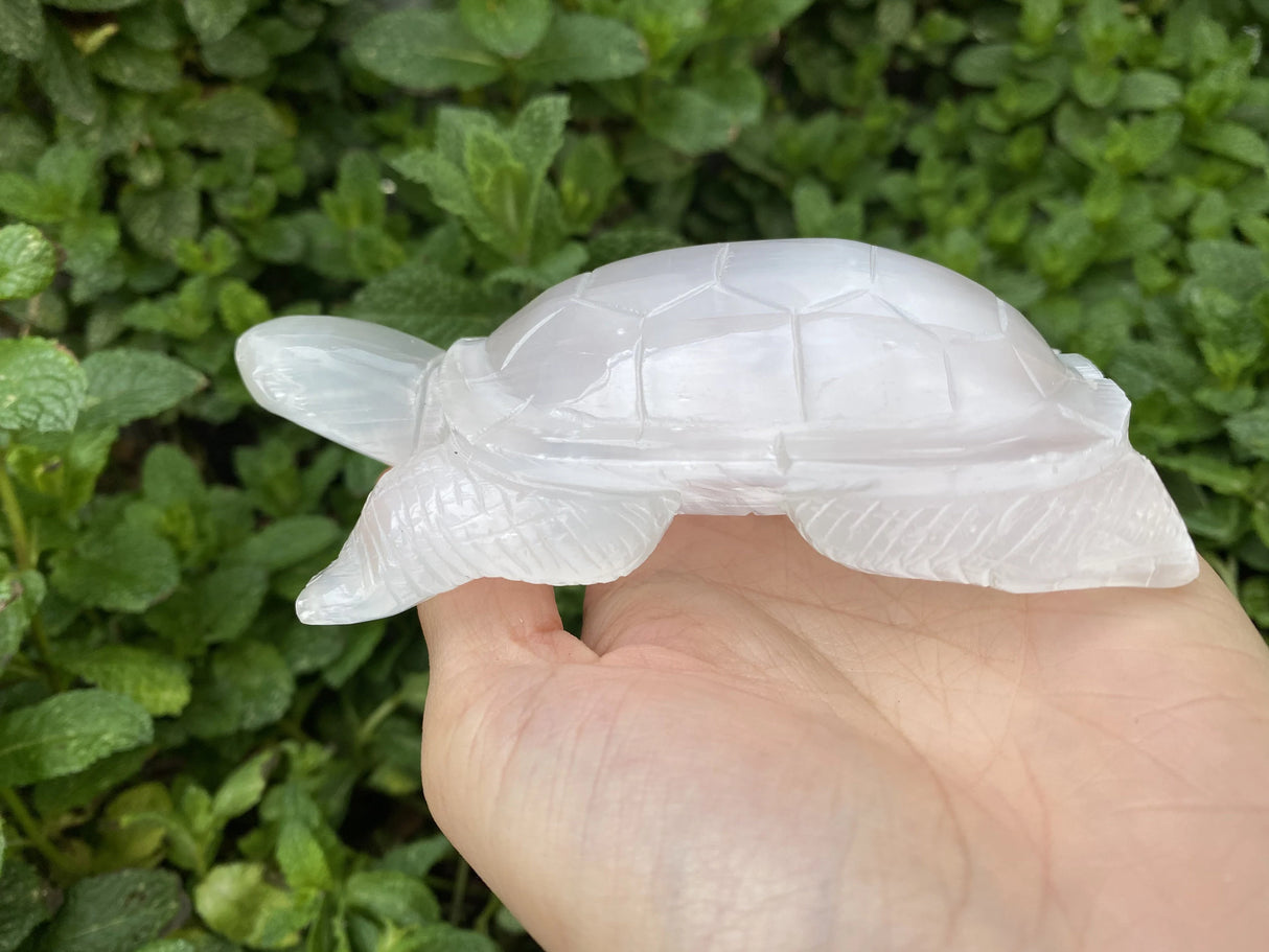 Large Selenite Hand Carved Turtle 4"