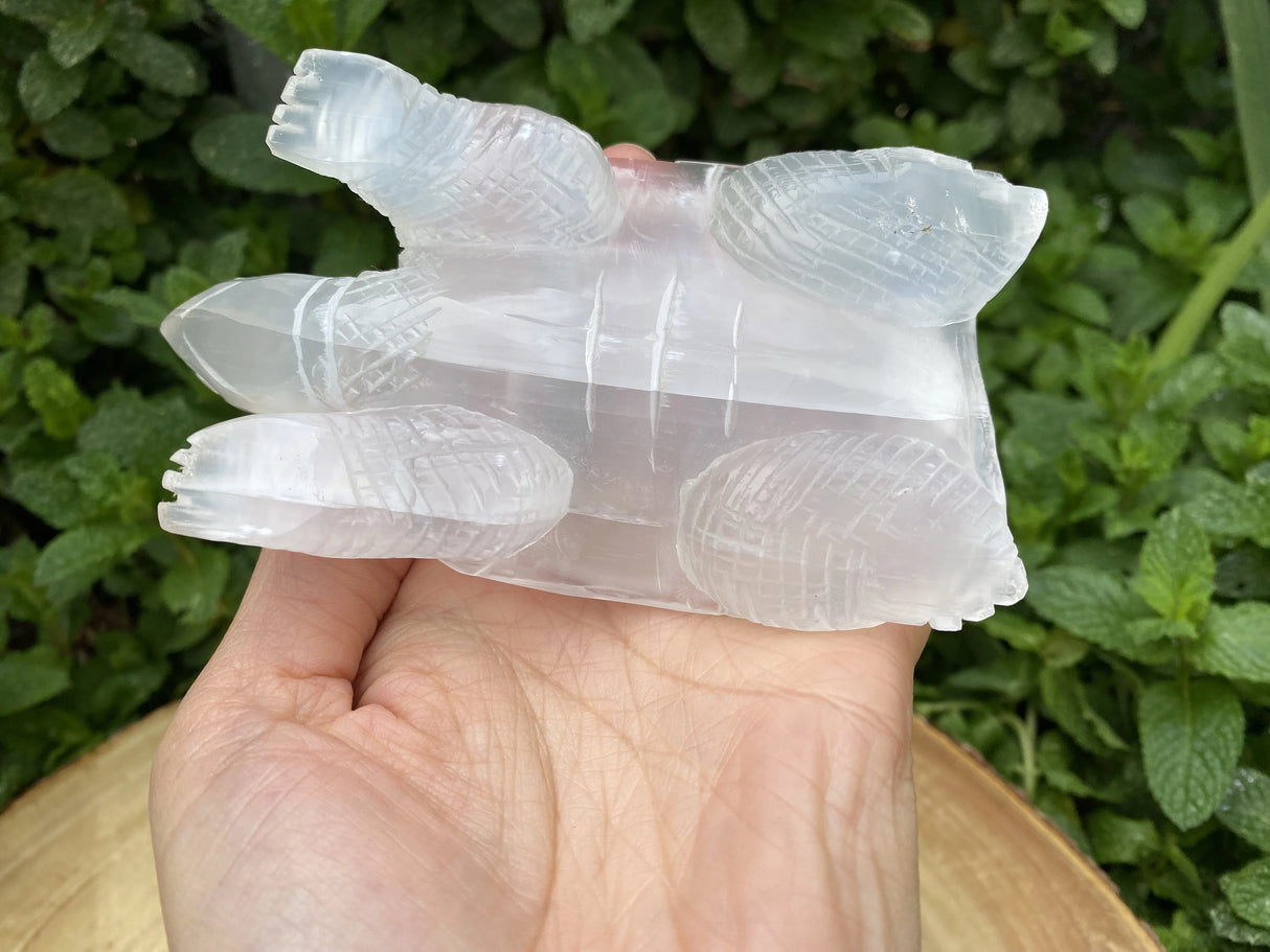 Large Selenite Hand Carved Turtle 4"