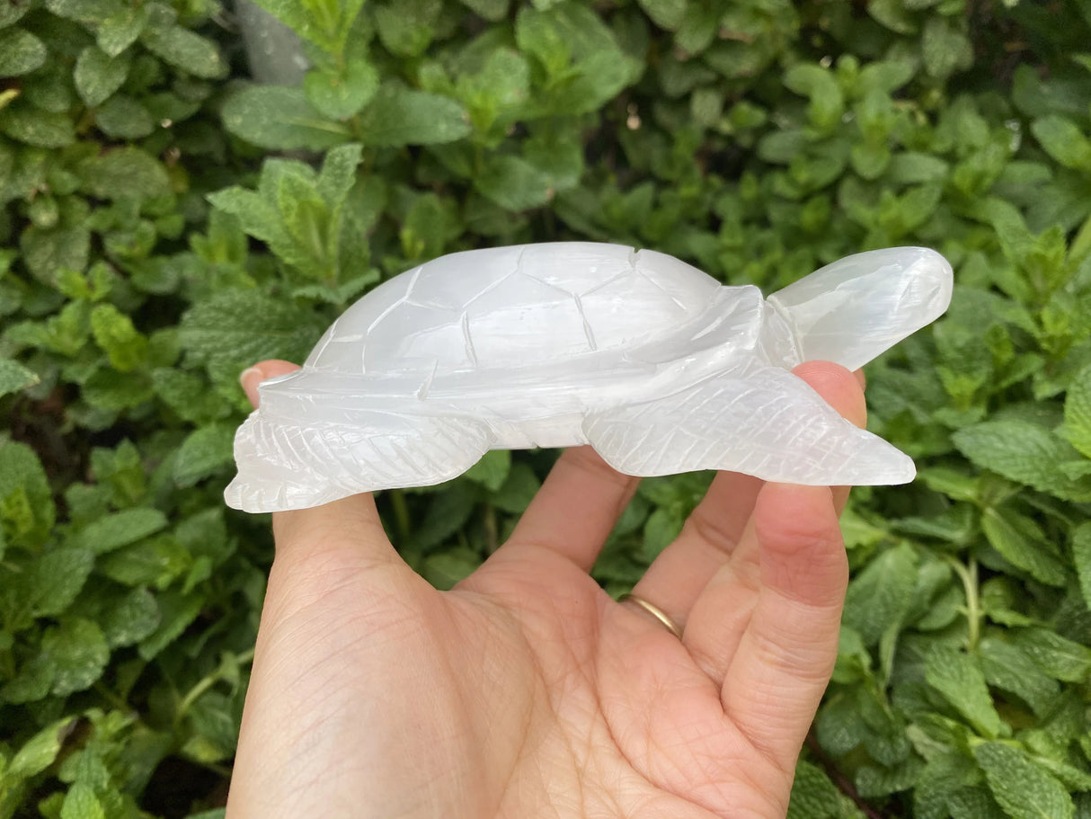 Large Selenite Hand Carved Turtle 4"