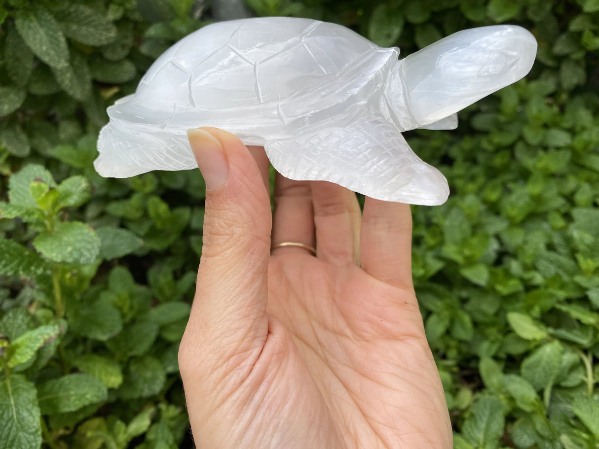 Large Selenite Hand Carved Turtle 4"