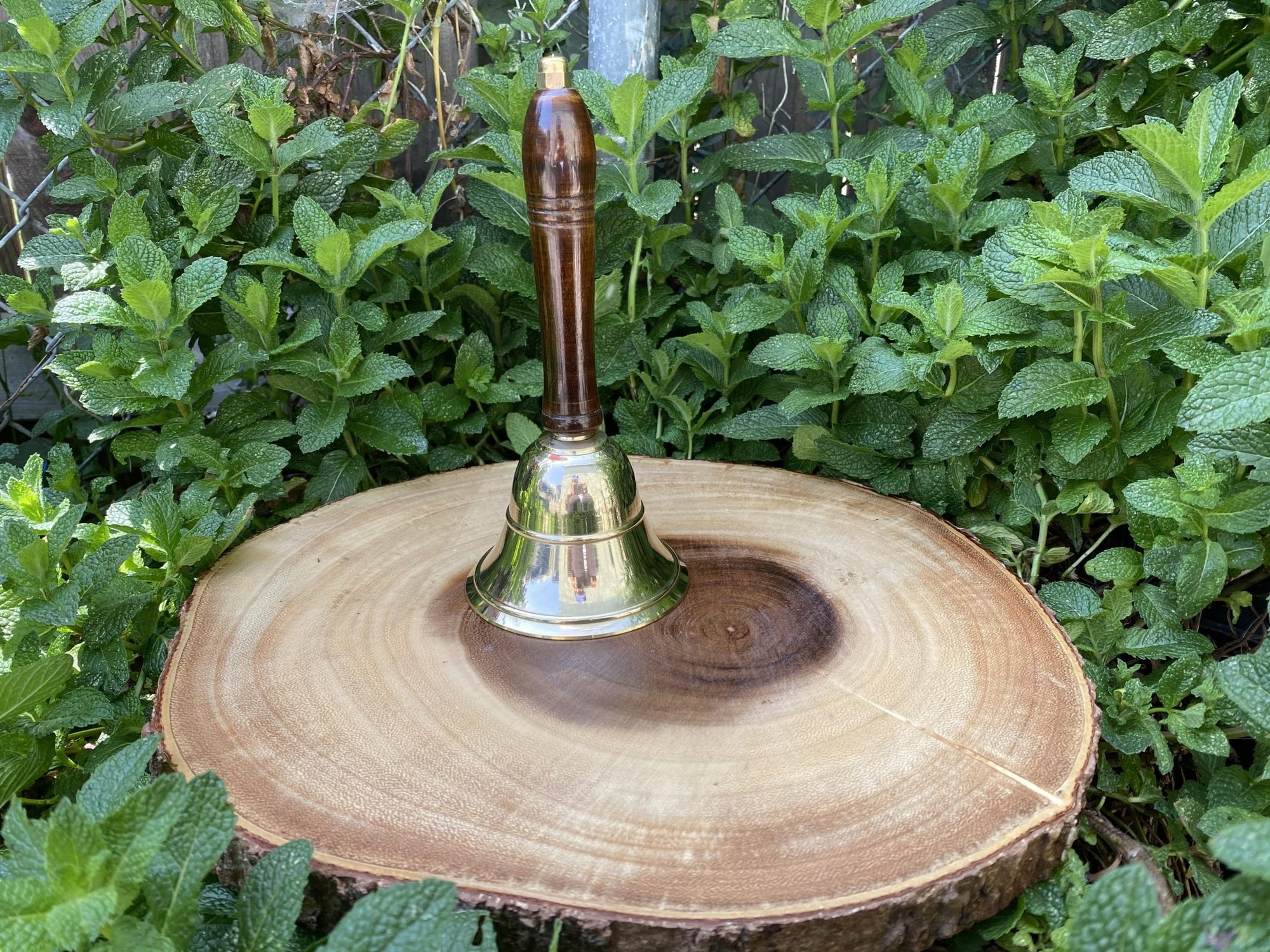 Brass Bell with Wooden Handle - Shop Cosmic Healing