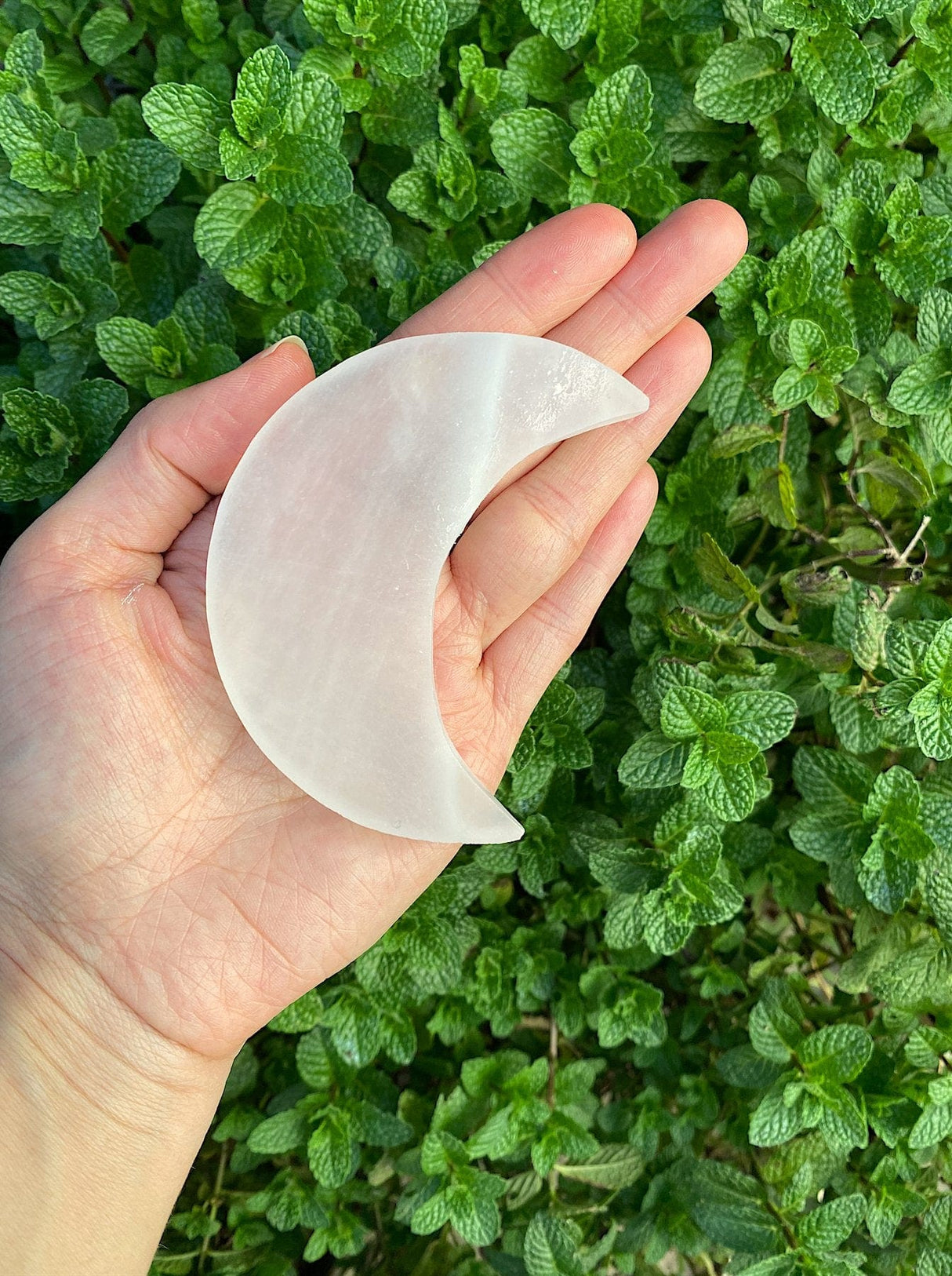 Selenite Crescent Moons - Shop Cosmic Healing