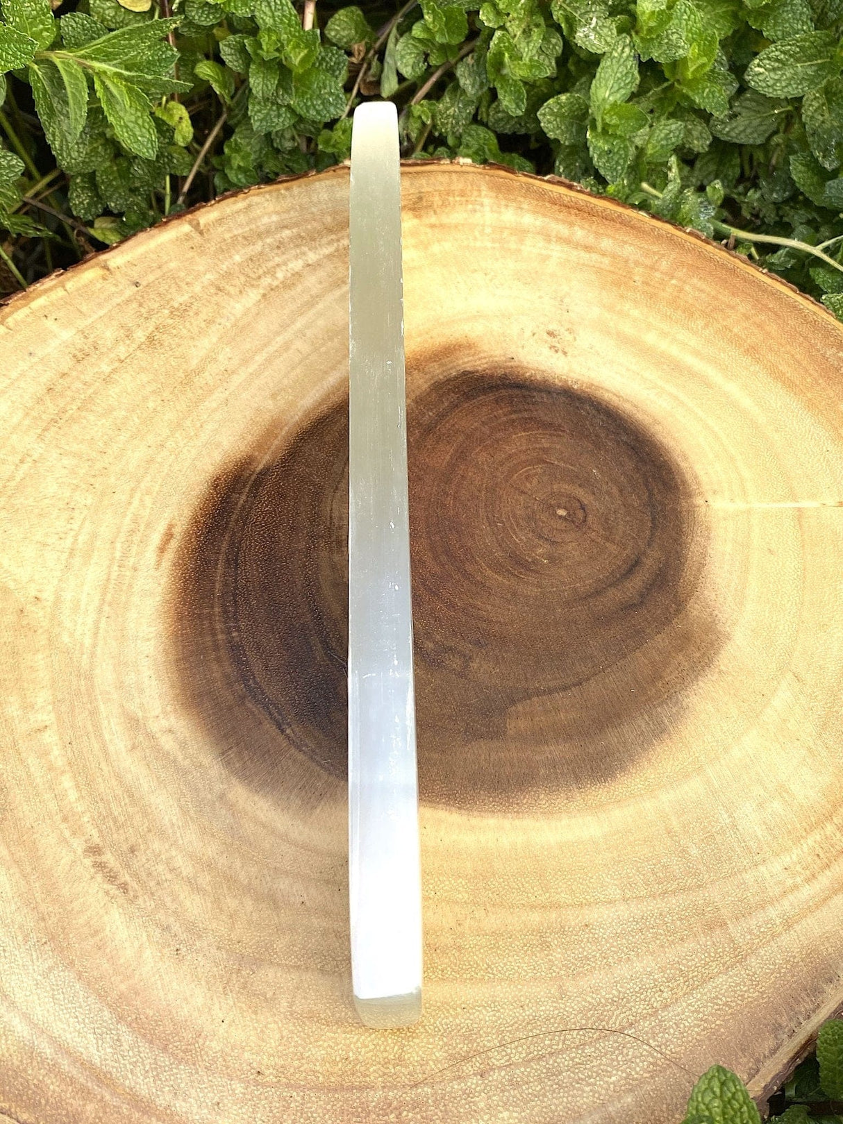 Selenite Polished Bar Large 10" - Shop Cosmic Healing