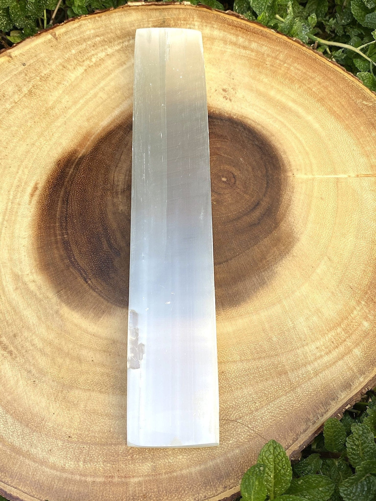 Selenite Polished Bar Large 10" - Shop Cosmic Healing