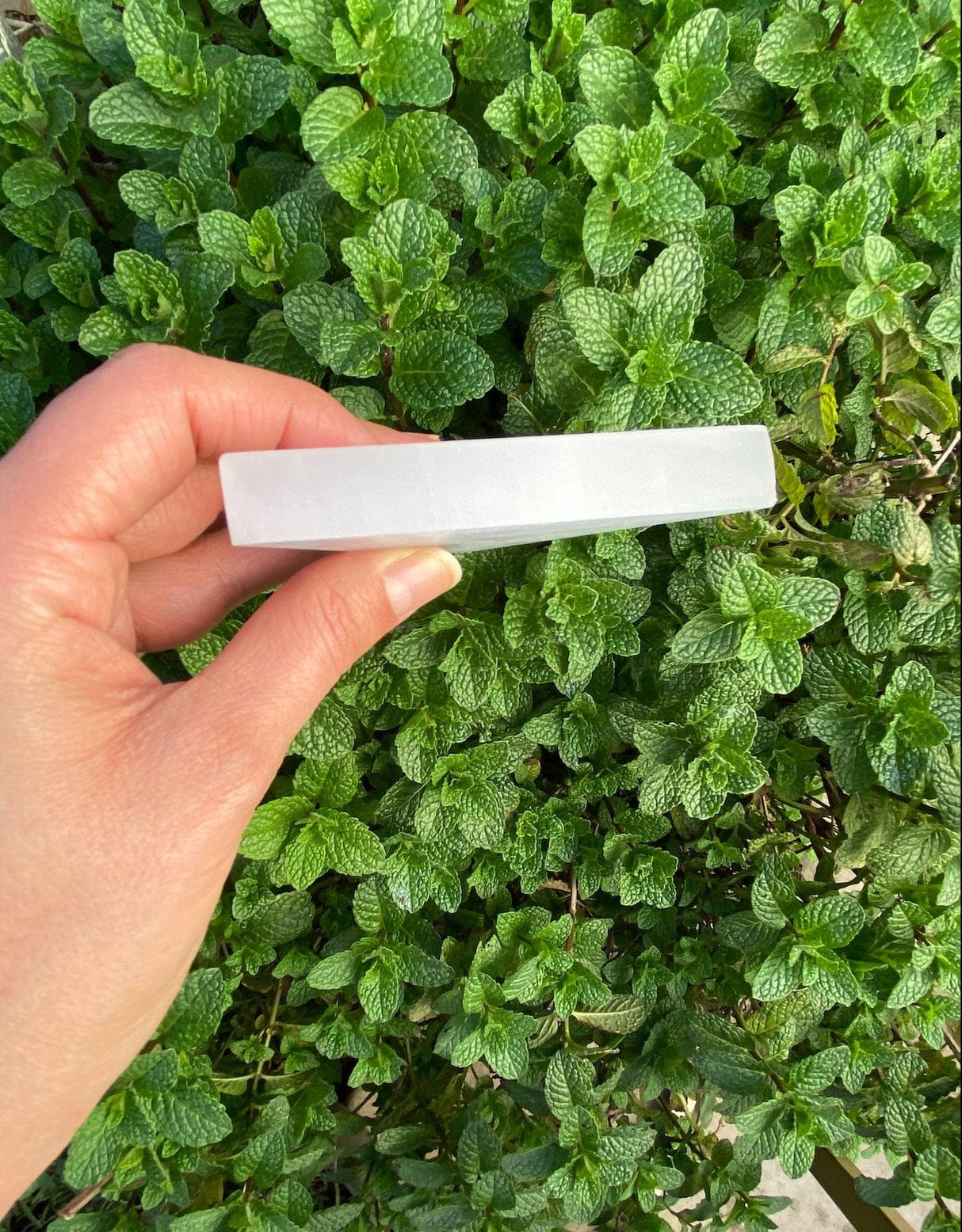 Selenite Triangle - Shop Cosmic Healing