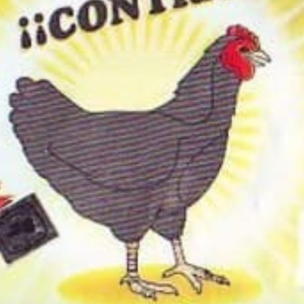 Zwarte Kip (Polvo Gallina Negra) Zakje Poeder 1/2 oz Tegen Boze Oog, Hexes, Vijanden en Jinxes