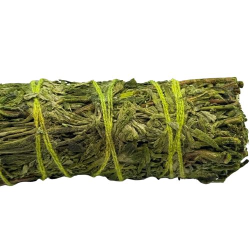 Patchouli Sage 4" (Atado de Salvia con Patchouli) for money, love, fertility, wealth, personal growth