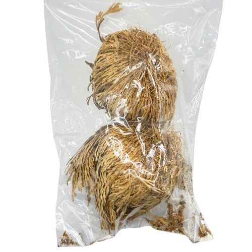 Rose of Jericho Flower 2pcs (Rosa De Jerico 2pcs) to bring peace, power and abundance to home