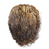 Comprar Rosa de Jerico 2 piezas | Shop Cosmic Healing