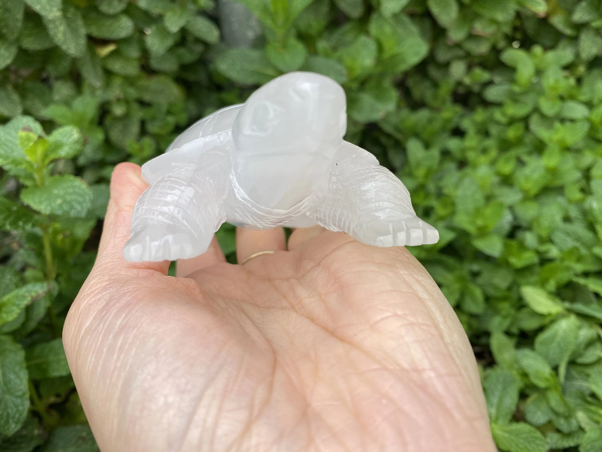 Large Selenite Hand Carved Turtle 4"