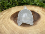 Large Selenite Hand Carved Turtle 4"