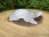 Large Selenite Hand Carved Turtle 4"