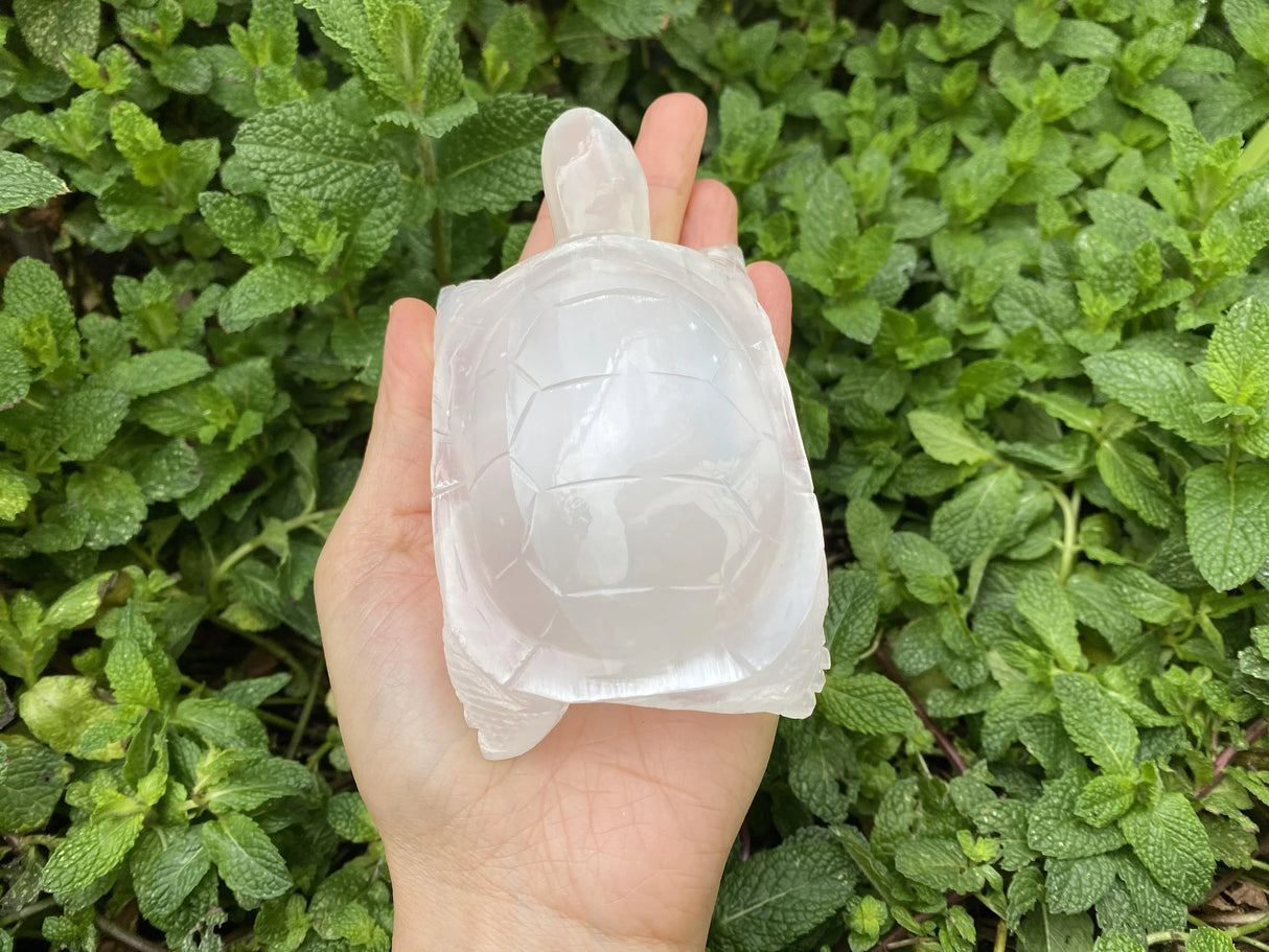 Large Selenite Hand Carved Turtle 4"