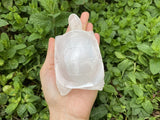 Large Selenite Hand Carved Turtle 4"