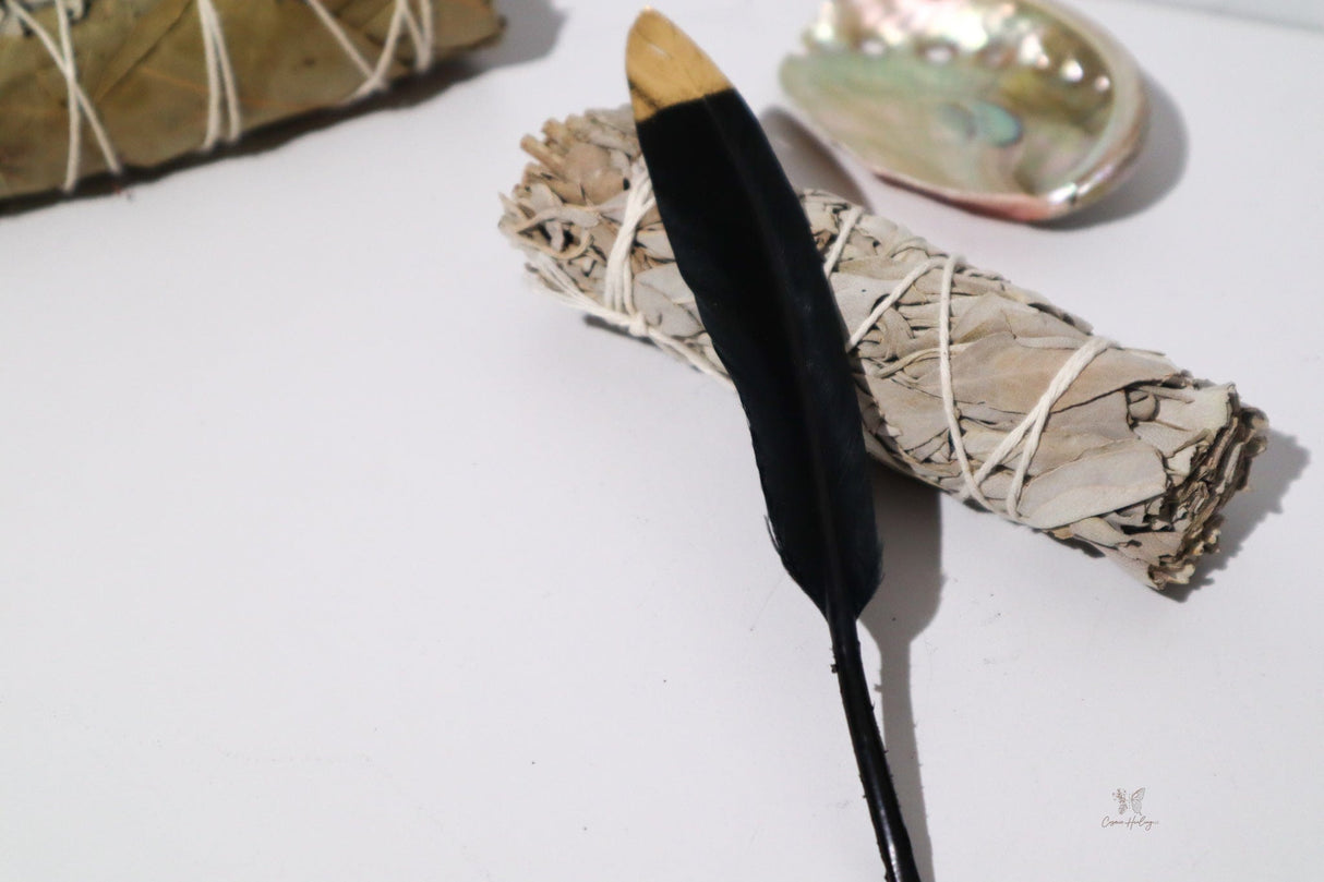 Black Pheasant Feather w/ Golden Tip 5-6" - Shop Cosmic Healing