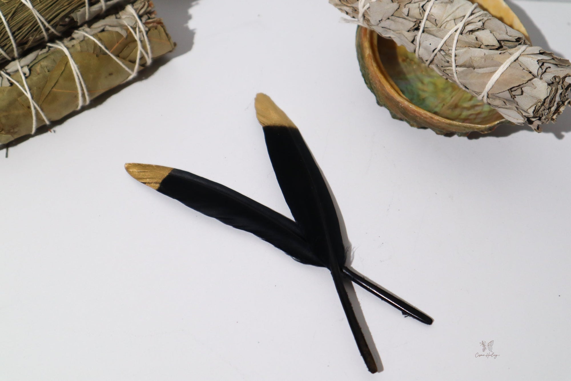 Black Pheasant Feather w/ Golden Tip 5-6" - Shop Cosmic Healing