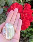 Green Marbled Onyx Palmstone From Pakistan - Shop Cosmic Healing