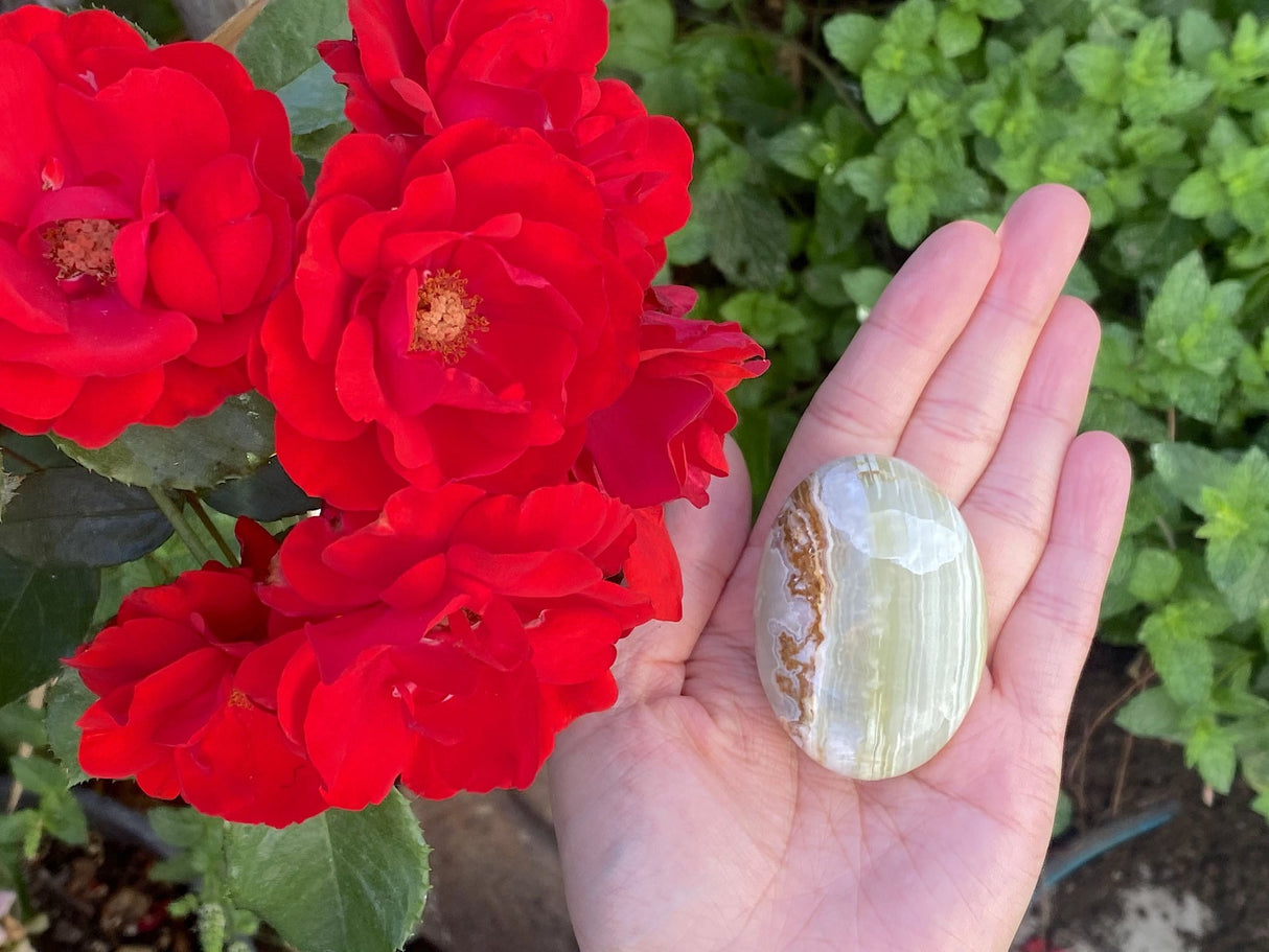 Green Marbled Onyx Palmstone From Pakistan - Shop Cosmic Healing