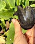 Hand Carved Anatomically Correct Silver Sheen Obsidian Heart- AOH2 - Shop Cosmic Healing