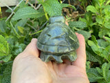 Hand Carved Green Jade Gemstone Turtle 3 3/4" - Shop Cosmic Healing