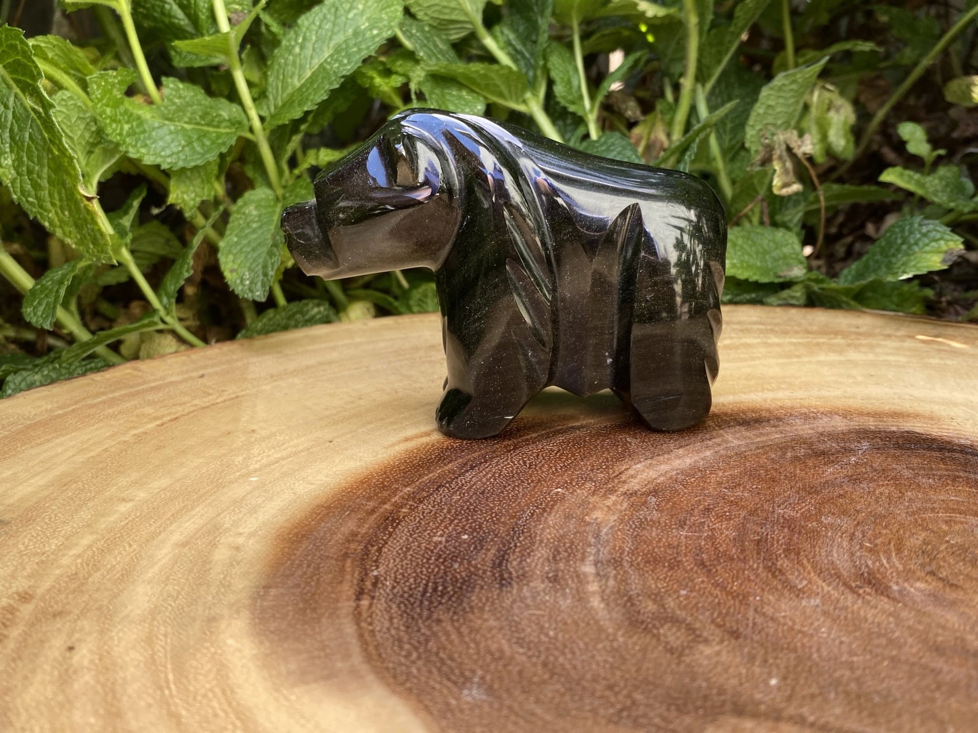 Hand Carved Obsidian Bear OPTION-OB1 - Shop Cosmic Healing