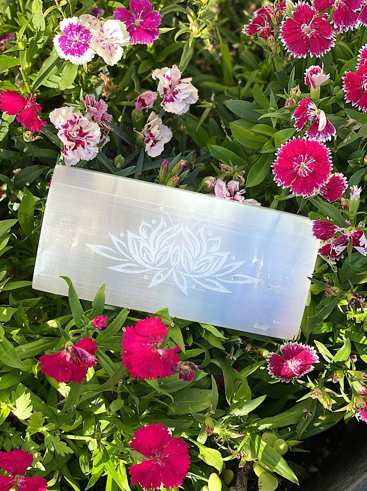 Large Selenite Rectangle Laser Etched Lotus Flower - Shop Cosmic Healing