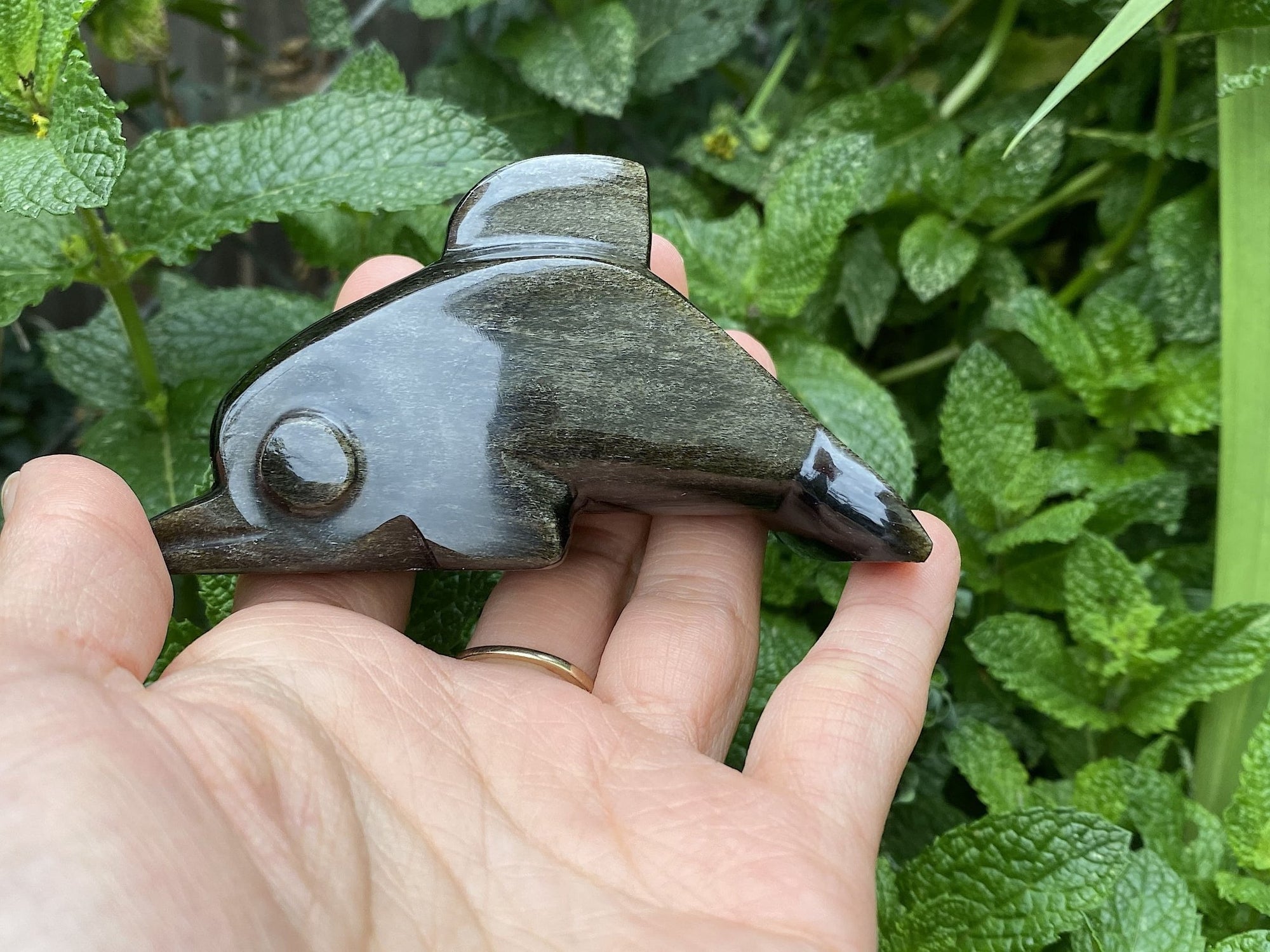 Mexican Obsidian Hand Carved Dolphin - Shop Cosmic Healing