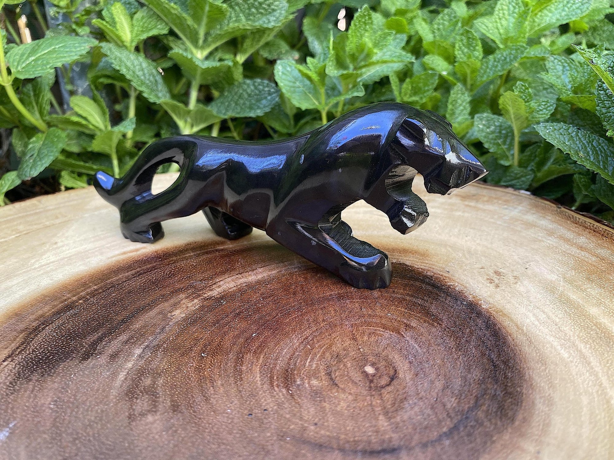 Mexican Obsidian Jaguar/Panther 6.5'' - Shop Cosmic Healing