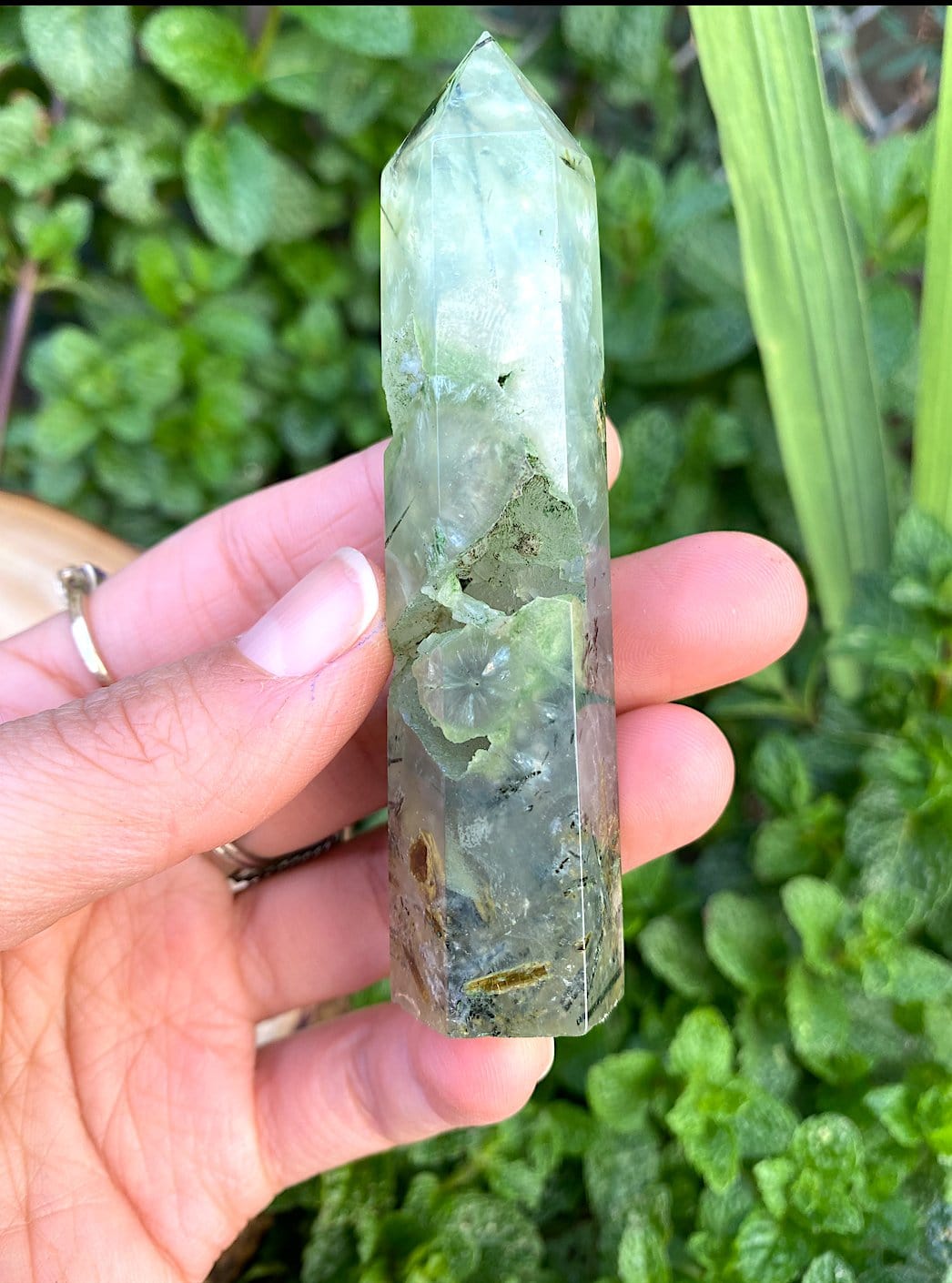 Natural Ritualized Prehnite Crystal Point With Black Tourmaline & Epidote - Shop Cosmic Healing