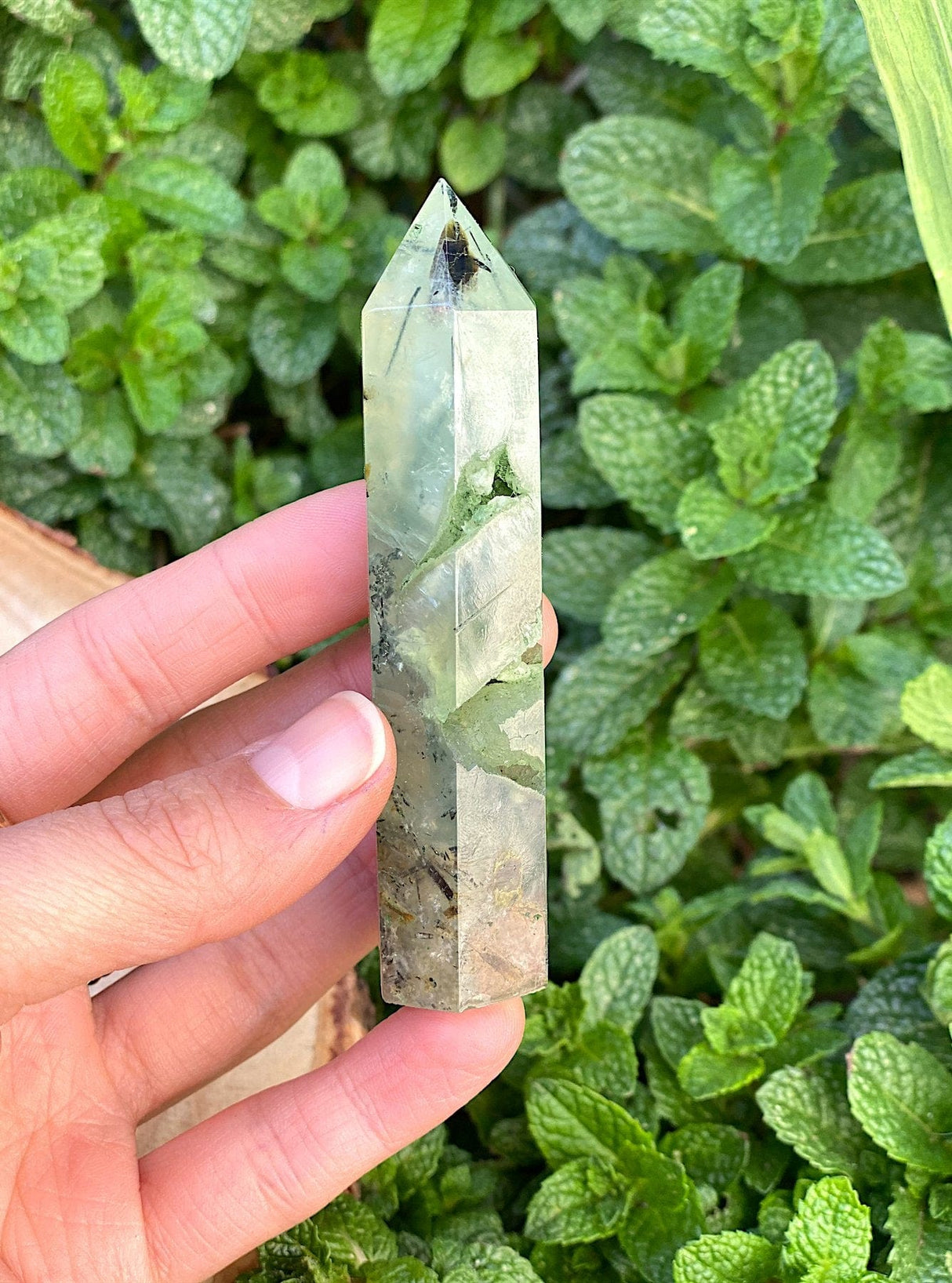 Natural Ritualized Prehnite Crystal Point With Black Tourmaline & Epidote - Shop Cosmic Healing