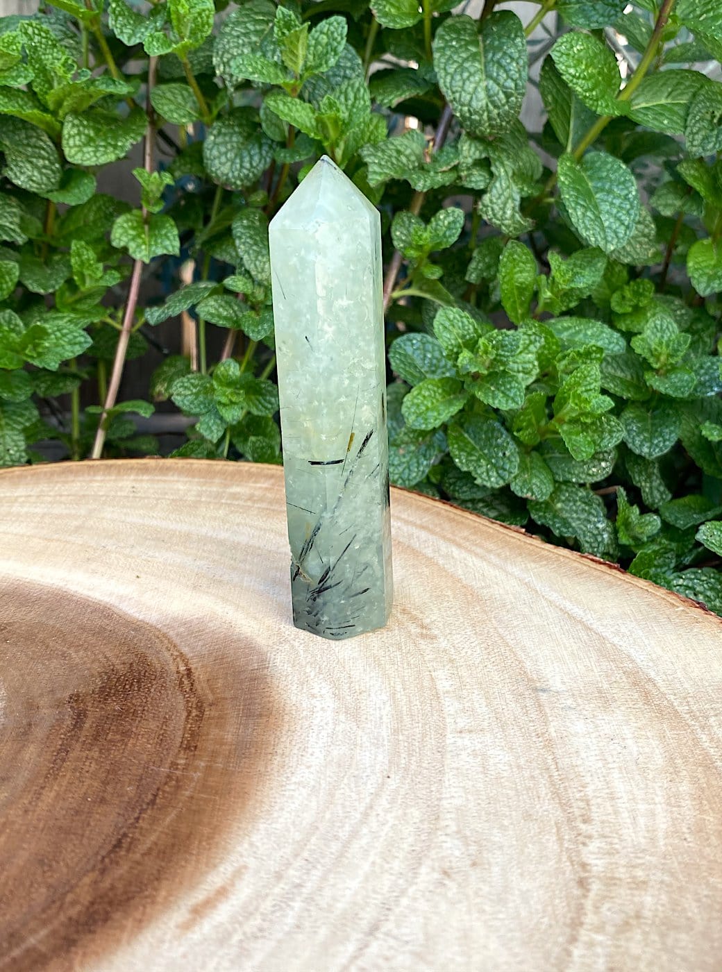 Natural Ritualized Prehnite Crystal Point With Black Tourmaline & Epidote - Shop Cosmic Healing