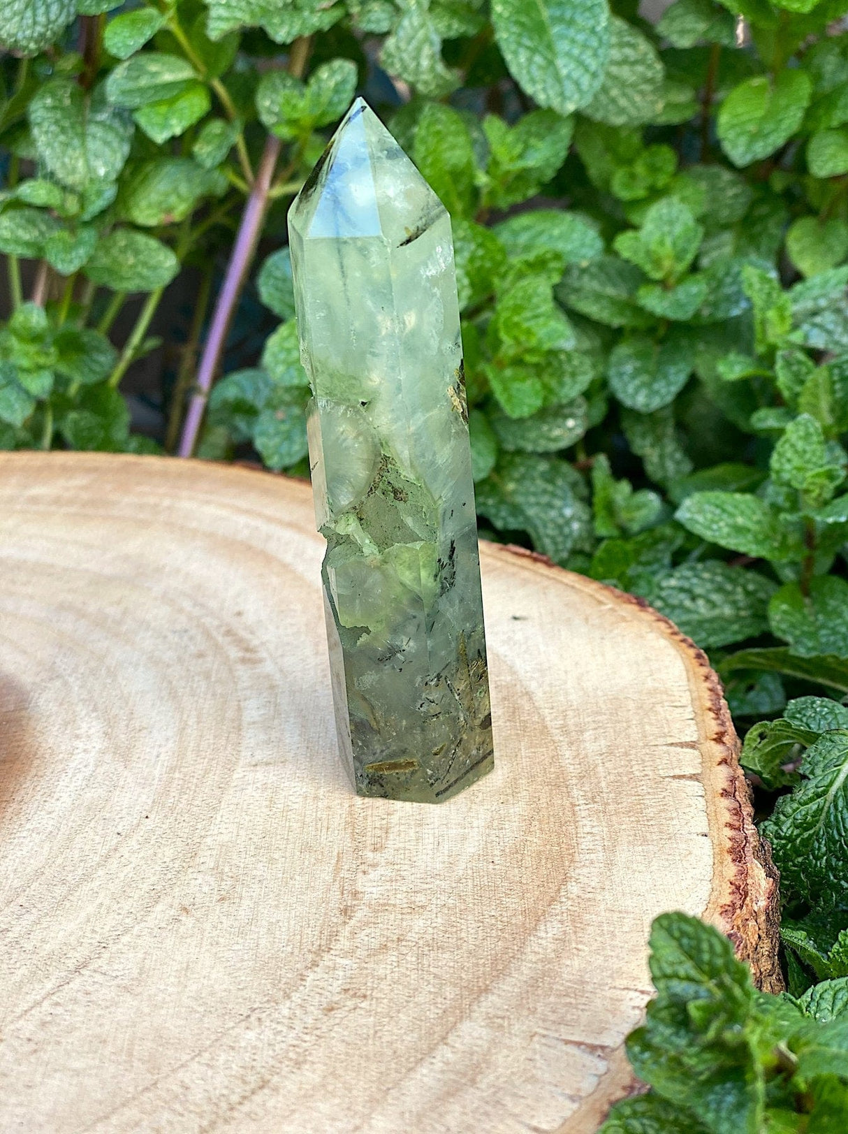 Natural Ritualized Prehnite Crystal Point With Black Tourmaline & Epidote - Shop Cosmic Healing