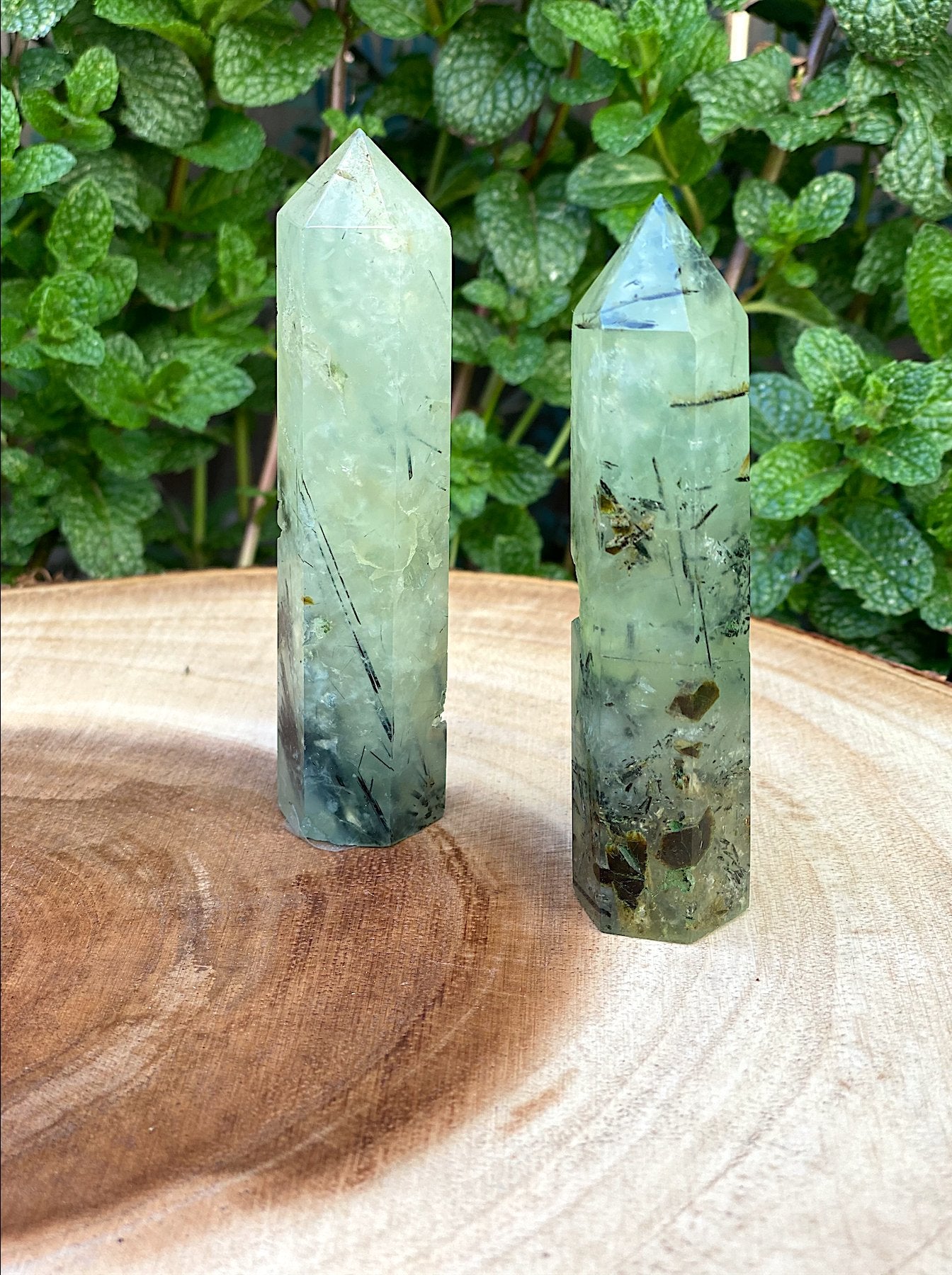 Natural Ritualized Prehnite Crystal Point With Black Tourmaline & Epidote - Shop Cosmic Healing