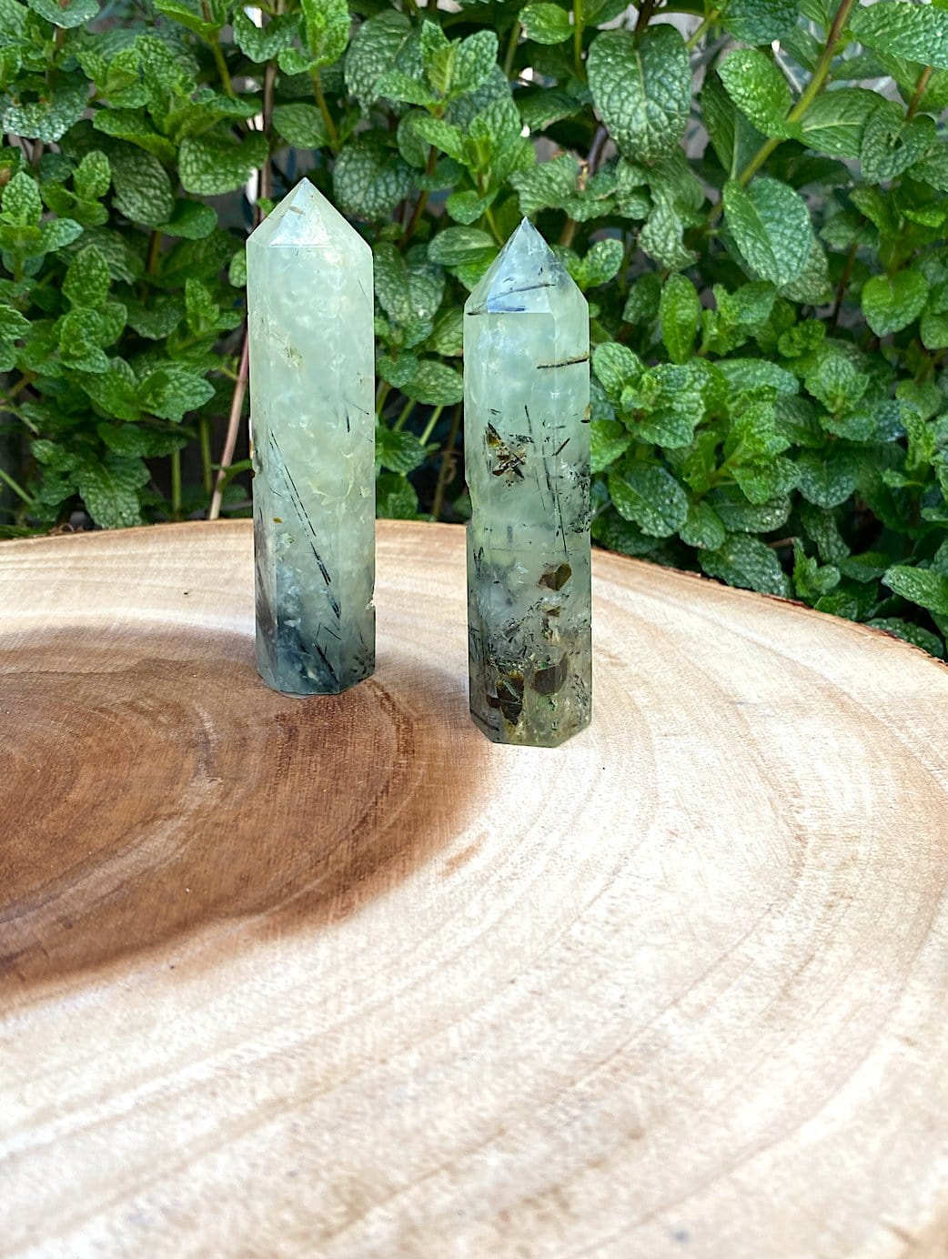 Natural Ritualized Prehnite Crystal Point With Black Tourmaline & Epidote - Shop Cosmic Healing