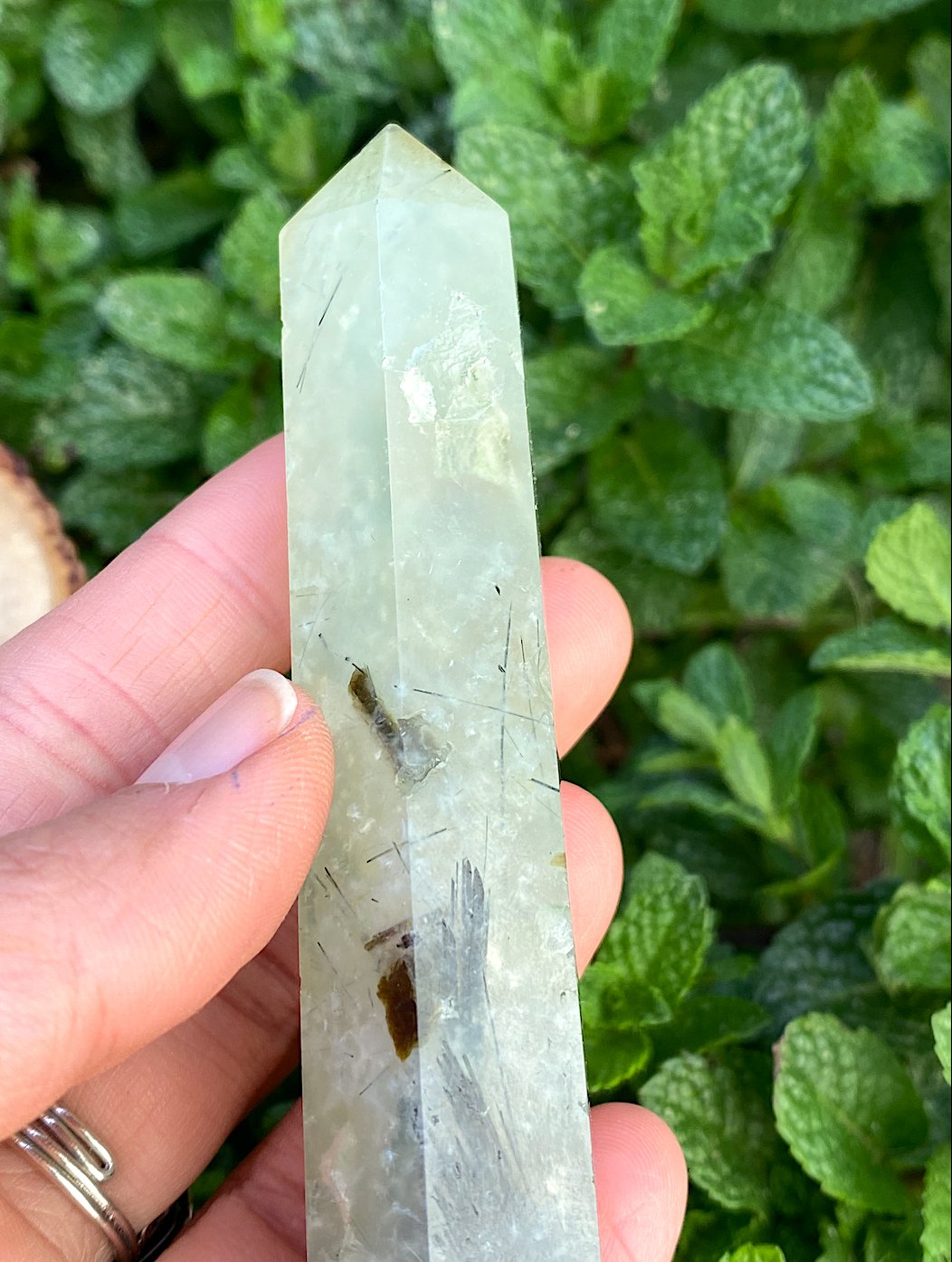Natural Ritualized Prehnite Crystal Point With Black Tourmaline &amp; Epidote - Shop Cosmic Healing