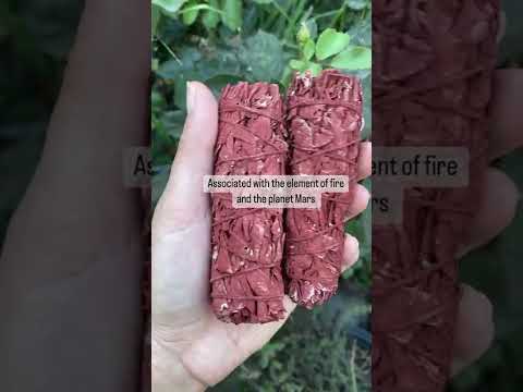 Dragon's Blood Sage 3-4" (Pack of 6) For protection, clearing, and purification