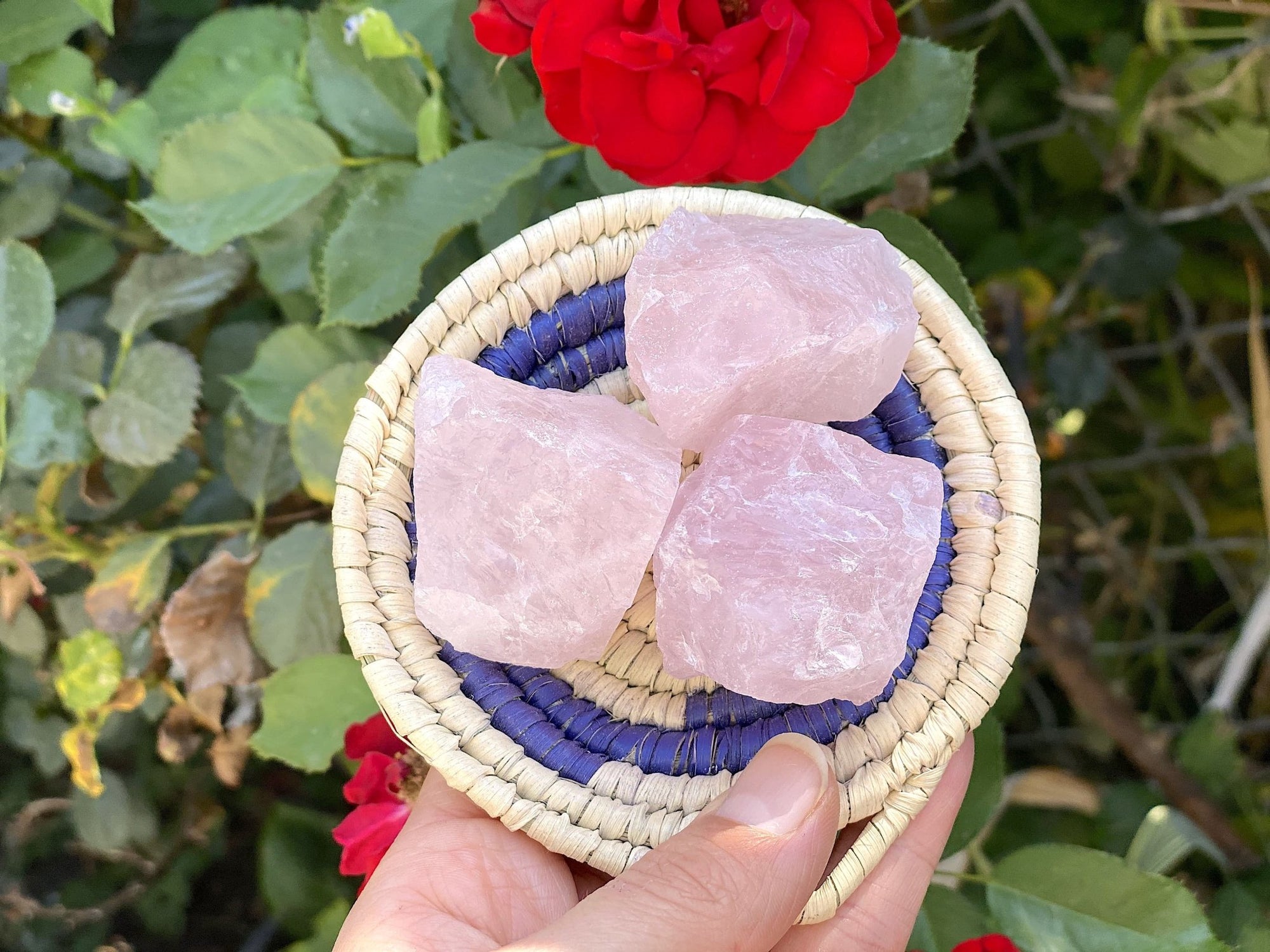 Raw Brazilian Rose Quartz Chunks - Shop Cosmic Healing