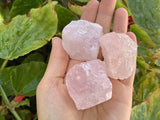 Raw Brazilian Rose Quartz Chunks in hands