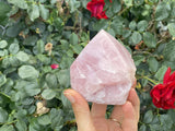 Raw Brazilian Rose Quartz Point- G - Shop Cosmic Healing