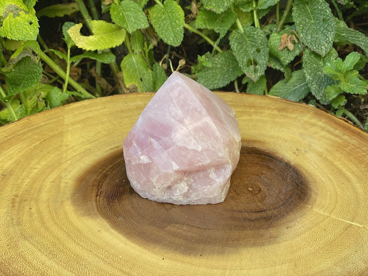 Raw Brazilian Rose Quartz Point- G - Shop Cosmic Healing