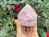 Raw Brazilian Rose Quartz Point- G - Shop Cosmic Healing