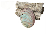 Red Abalone Shell Smudging 2-3"L - Shop Cosmic Healing