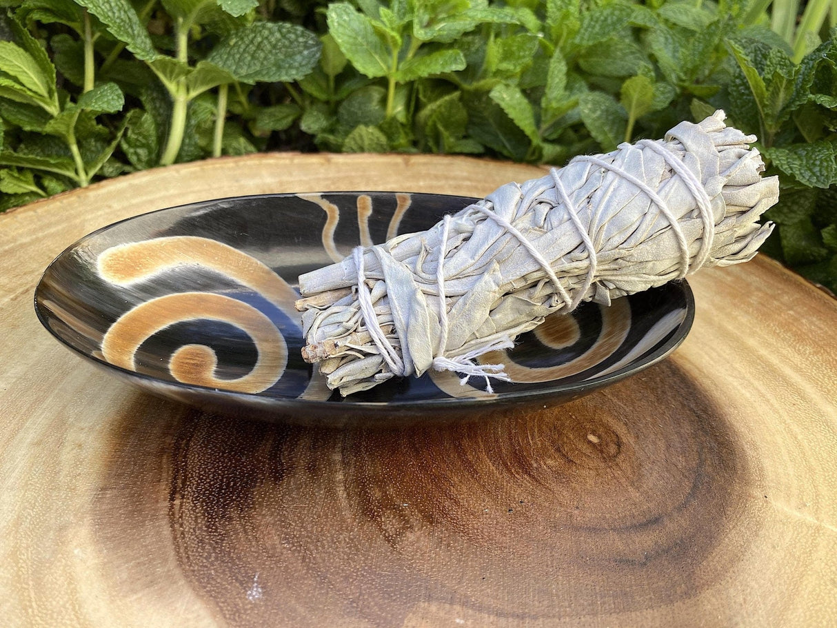 Ritual Oval Bowl 6"x 3.5" Made of Carved & Polished Horn - Shop Cosmic Healing