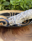 Ritual Oval Bowl 6"x 3.5" Made of Carved & Polished Horn - Shop Cosmic Healing