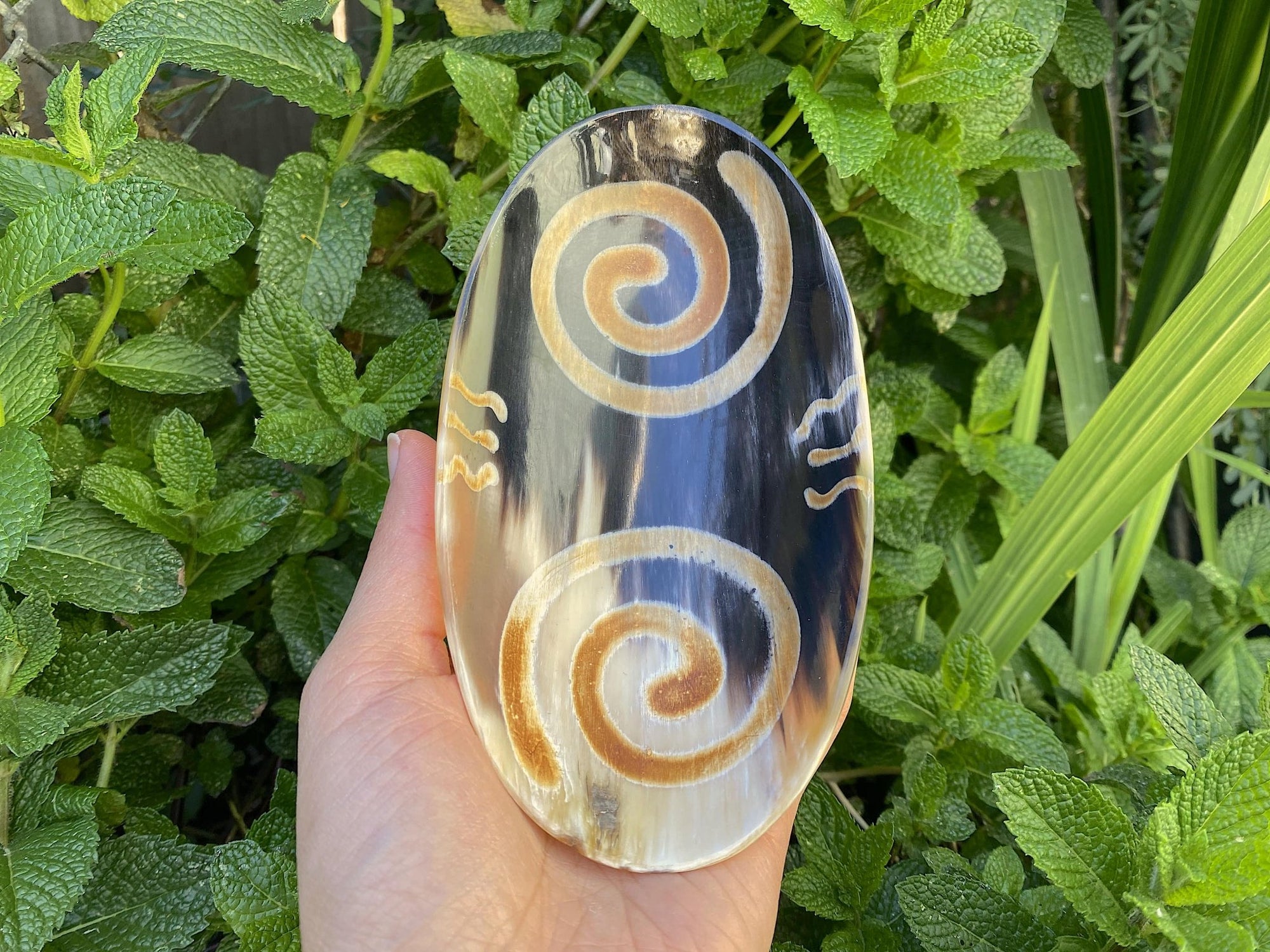 Ritual Oval Bowl 6"x 3.5" Made of Carved & Polished Horn - Shop Cosmic Healing