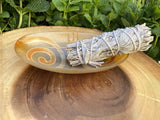 Ritual Oval Bowl 6"x 3.5" Made of Carved & Polished Horn - Shop Cosmic Healing