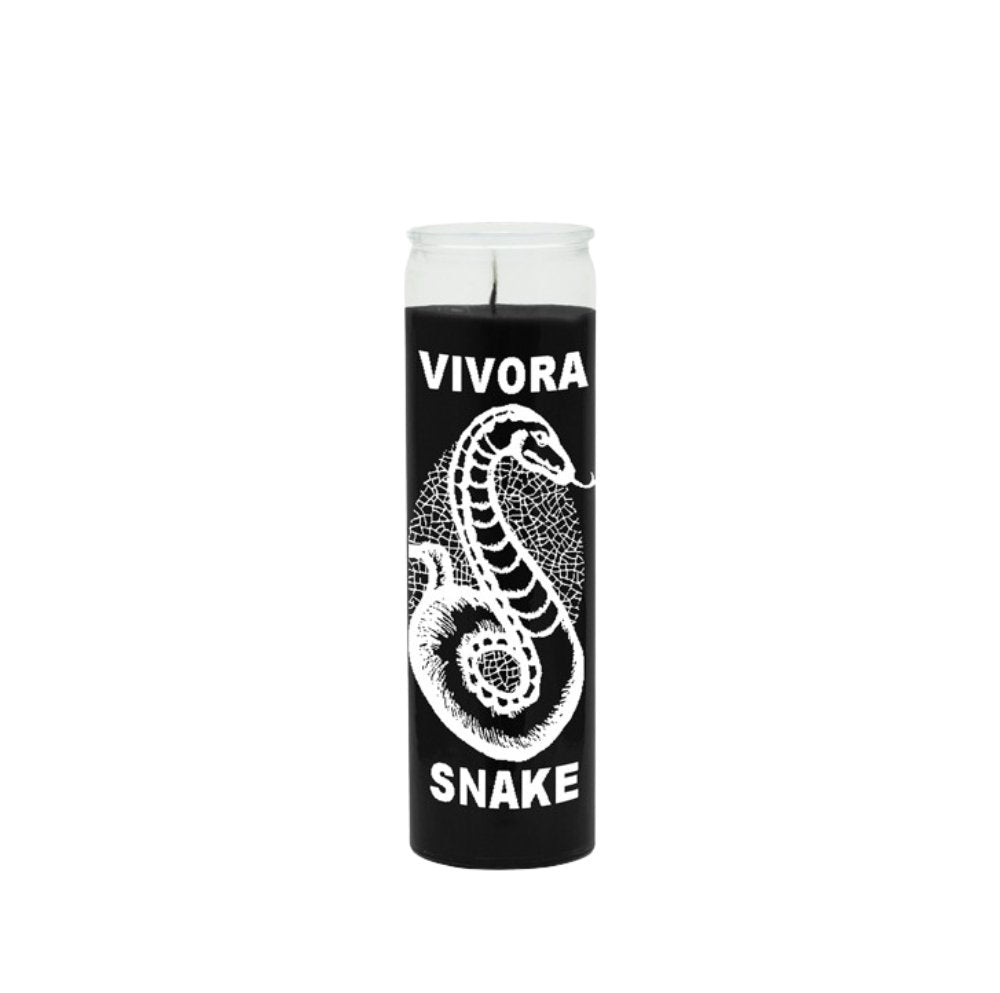 Snake (Vivora) powerful spell breaker & to gain control over a hard situation, getting rid off any negative energy - Shop Cosmic Healing